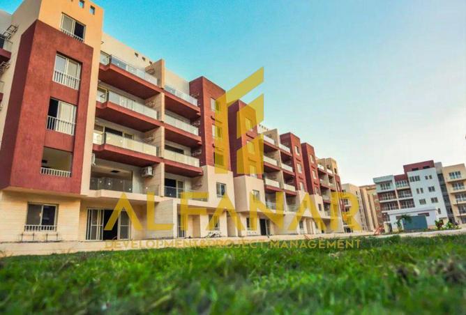 65157979 - صورة العقار 3