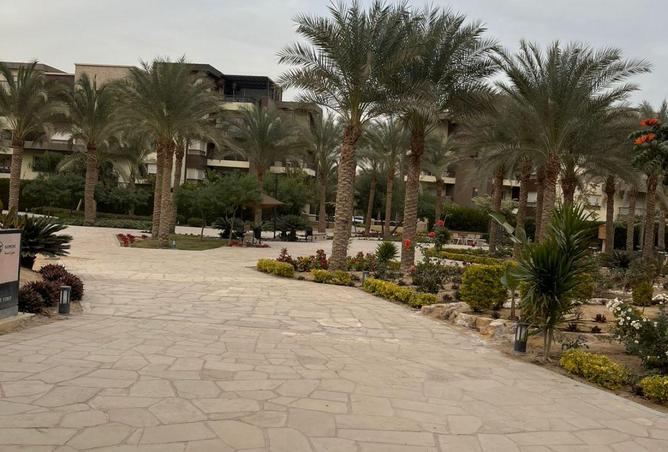 8572619 - Property Image 3