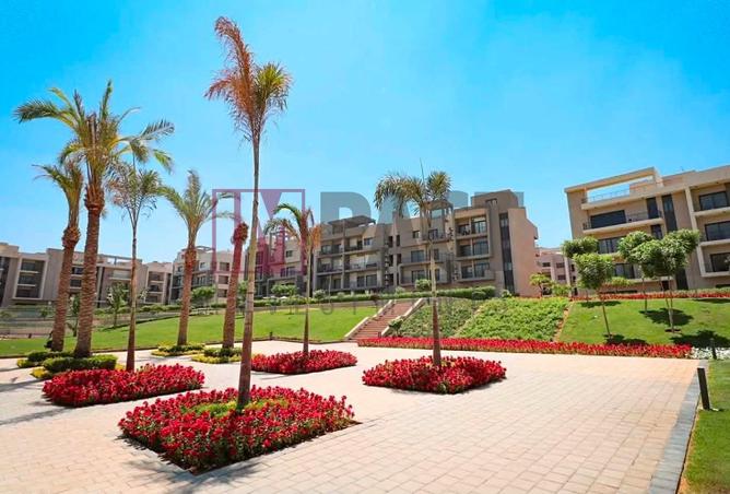 79995588 - صورة العقار 2