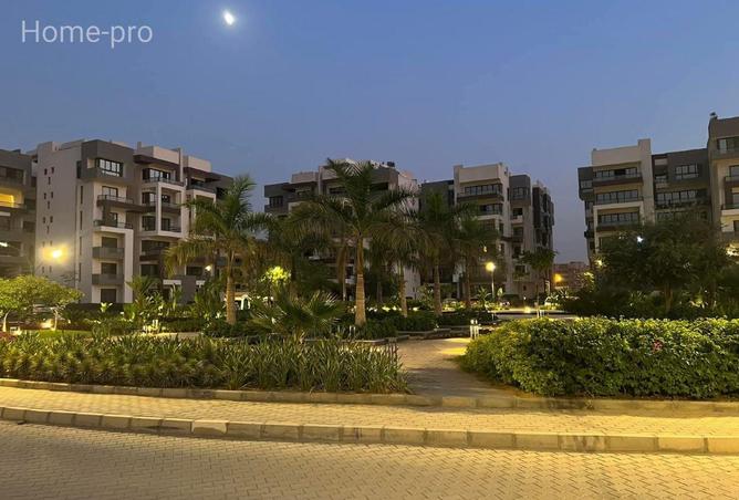 84781897 - صورة العقار 2