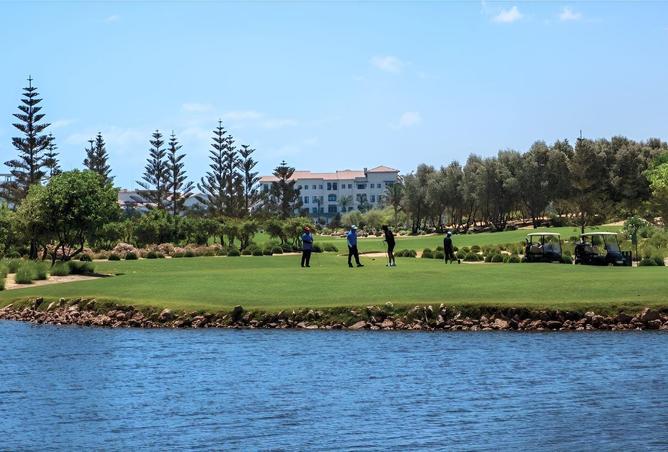 8567519 - صورة العقار 2