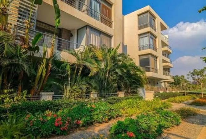 56009492 - صورة العقار 3