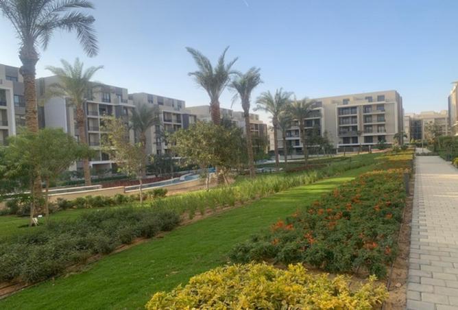 8512182 - Property Image 3