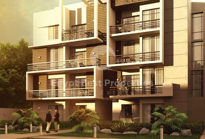 8638392 - Property Image 3