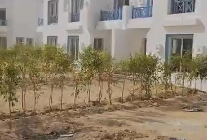 56744814 - Property Image 3