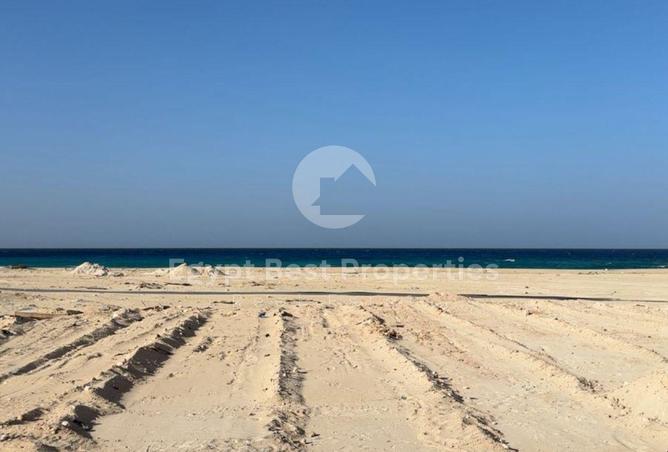 54492458 - Property Image 2