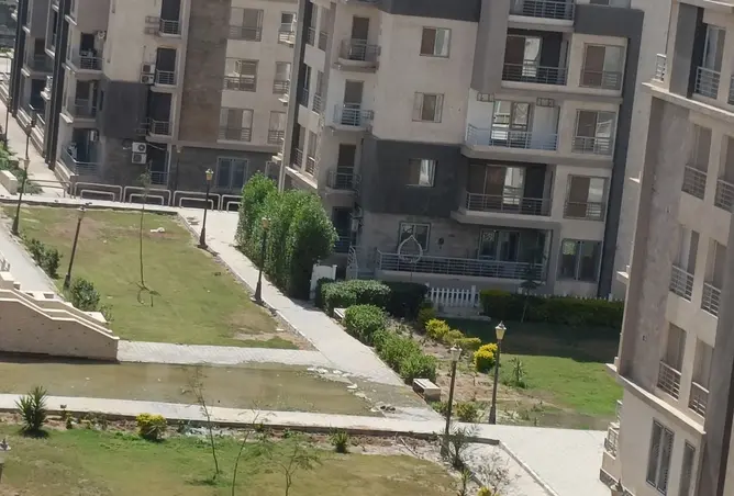116753053 - Property Image 3