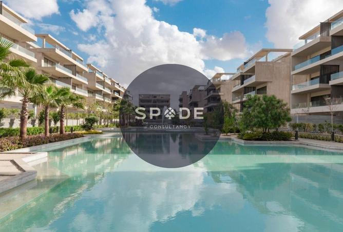 53728918 - Property Image 2