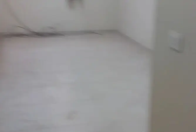 118305847 - Property Image 3