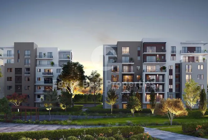 117540469 - Property Image 3