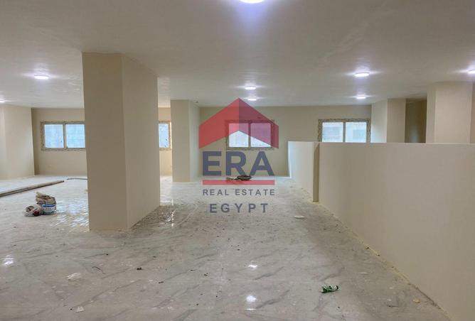 55500299 - Property Image 3