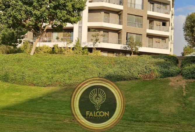 52451506 - صورة العقار 2