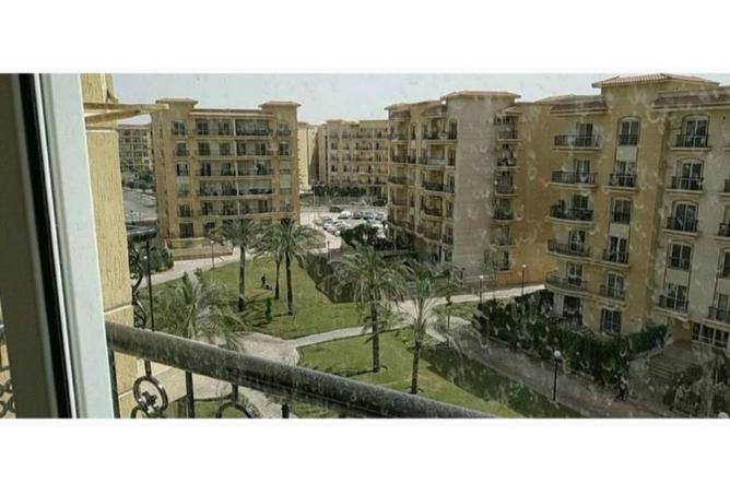 71651044 - Property Image 3