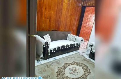 Apartment - 1 Bedroom - 1 Bathroom for rent in Syria St. - Roushdy - Hay Sharq - Alexandria