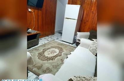 Apartment - 1 Bedroom - 1 Bathroom for rent in Syria St. - Roushdy - Hay Sharq - Alexandria