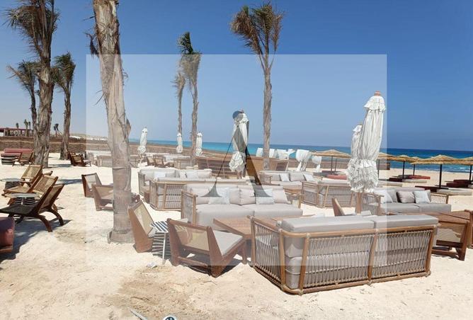 8692820 - Property Image 3