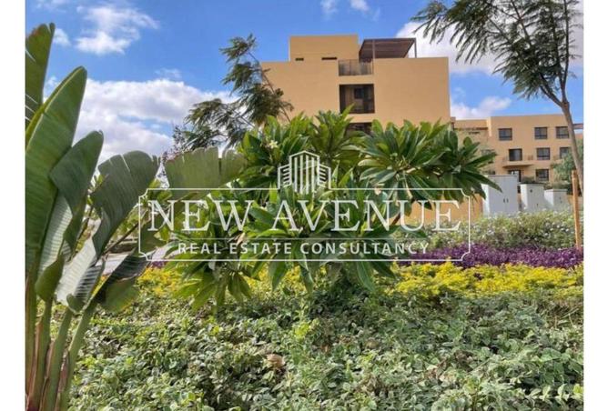 8664358 - صورة العقار 3