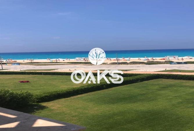 64391124 - Property Image 2