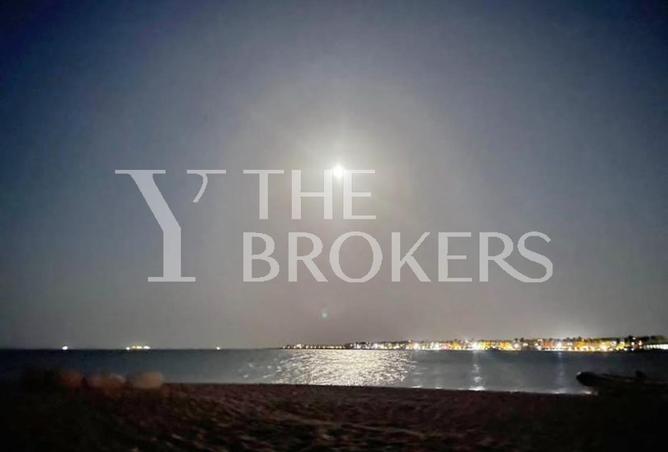 58248496 - صورة العقار 3