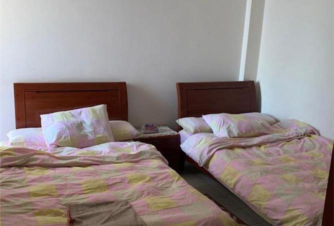 55759446 - صورة العقار 3