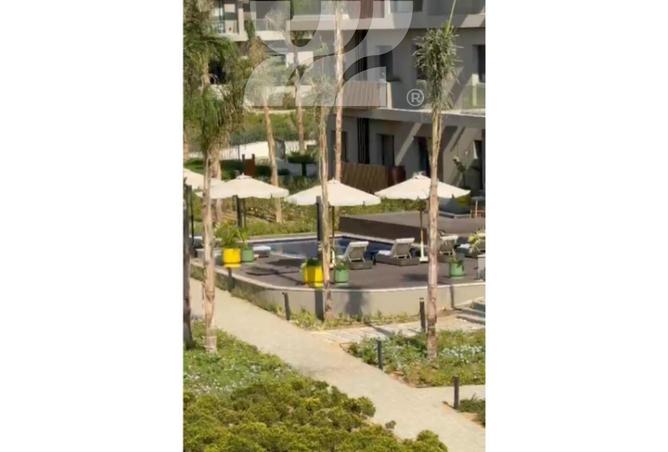 63881147 - Property Image 3