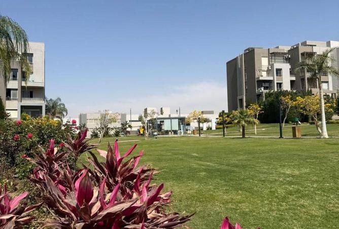 81836250 - صورة العقار 2