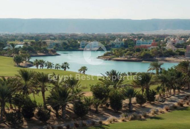 56448892 - Property Image 3