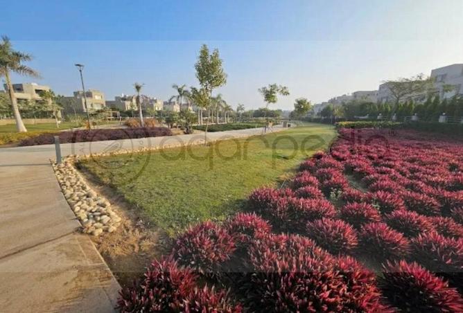 81577958 - صورة العقار 3