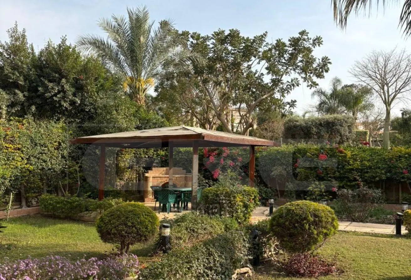 117528006 - الصورة الرئيسية للعقار