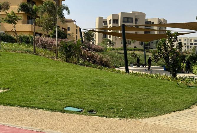 72449577 - صورة العقار 3