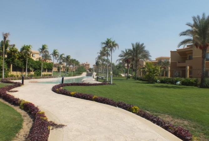 65656474 - Property Image 3