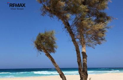 Twin House - 4 Bedrooms - 5 Bathrooms for sale in Azha North - Ras Al Hekma - North Coast Twin House - 4 Bedrooms - 5 Bathrooms for sale in Azha North - Ras Al Hekma - North Coast