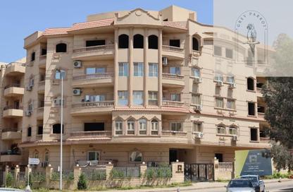 شقة - 3 غرف نوم - 2 حمامات للبيع في عمارات النرجس - النرجس - مدينة القاهرة الجديدة - القاهرة شقة - 3 غرف نوم - 2 حمامات للبيع في عمارات النرجس - النرجس - مدينة القاهرة الجديدة - القاهرة