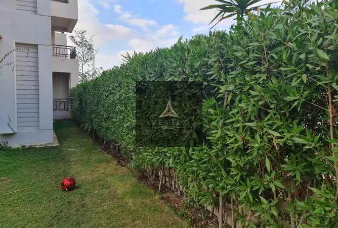 103765370 - Property Image 3