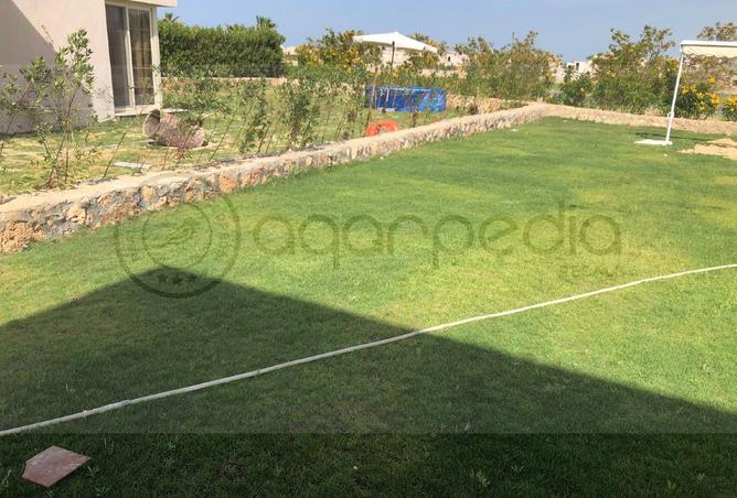 8638824 - Property Image 3