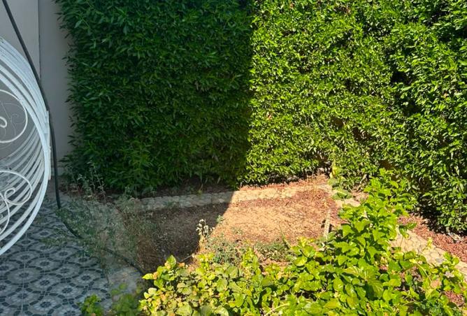 107982800 - Property Image 2