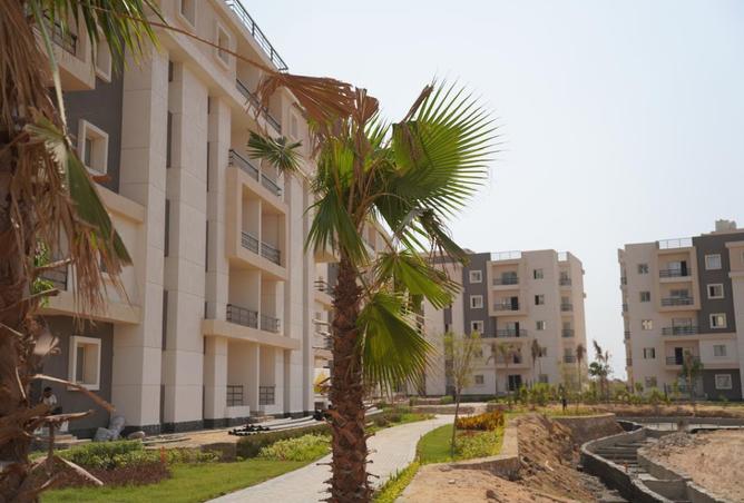 99805846 - صورة العقار 3