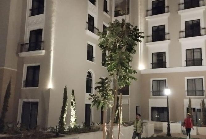 8440379 - Property Image 3