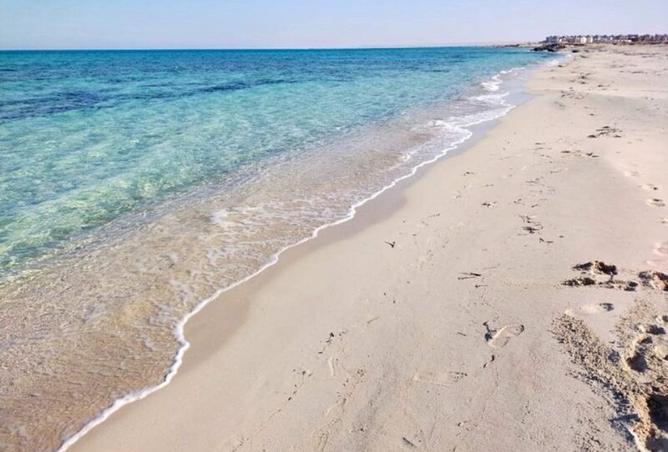 62889051 - الصورة الرئيسية للعقار