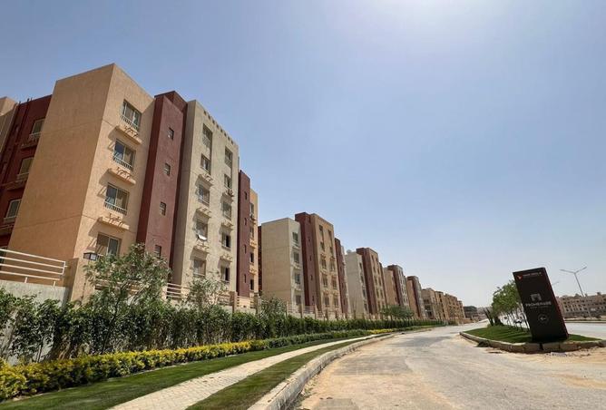 8520249 - Property Image 3