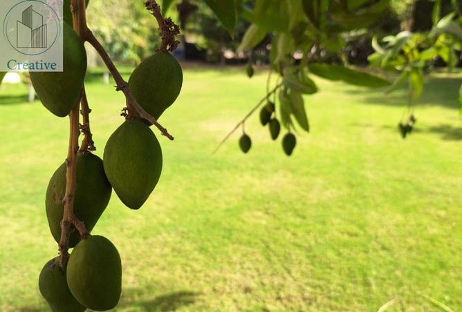 65409507 - Property Image 2