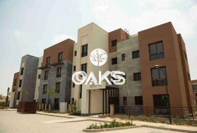 66428340 - Property Main Image