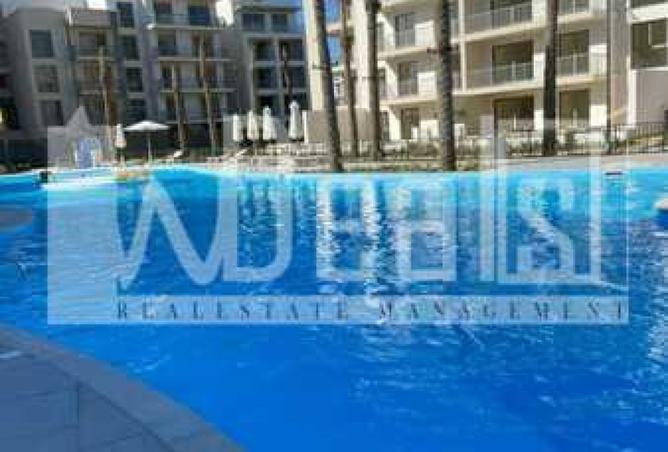 99812890 - Property Image 3