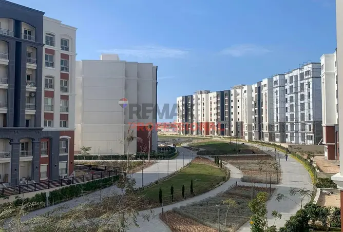 112705188 - Property Image 2
