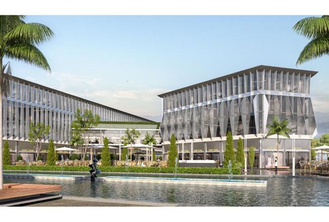 8416528 - صورة العقار 3