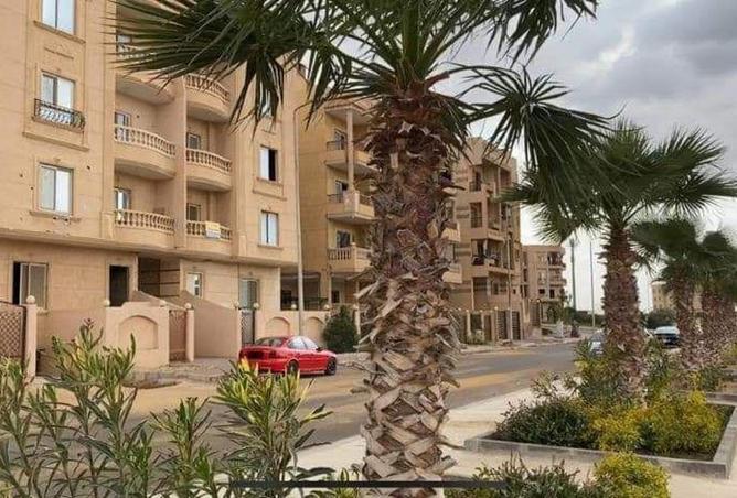 55255491 - Property Image 2