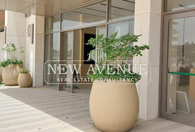 66692500 - Property Image 3