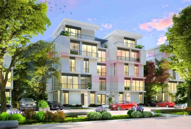 65156611 - Property Image 2