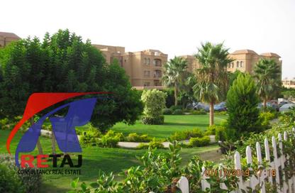 Apartment - 3 Bedrooms - 3 Bathrooms for rent in Mena Residence - South Investors Area - New Cairo City - Cairo Apartment - 3 Bedrooms - 3 Bathrooms for rent in Mena Residence - South Investors Area - New Cairo City - Cairo
