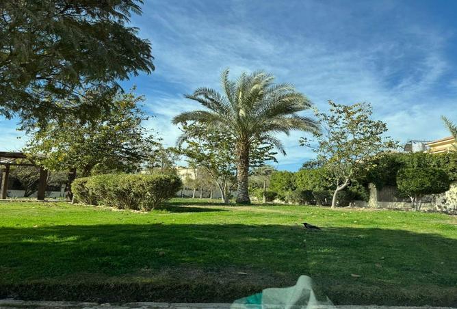 8645791 - Property Image 2